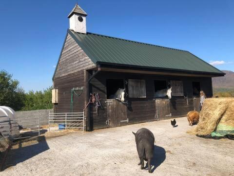 Heatherhill Farm Cottage In Letterfrack Beside Connemara National Park Εξωτερικό φωτογραφία